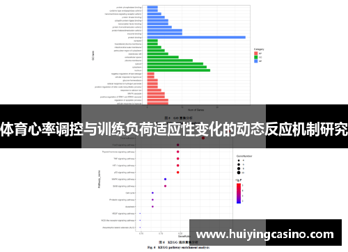 体育心率调控与训练负荷适应性变化的动态反应机制研究